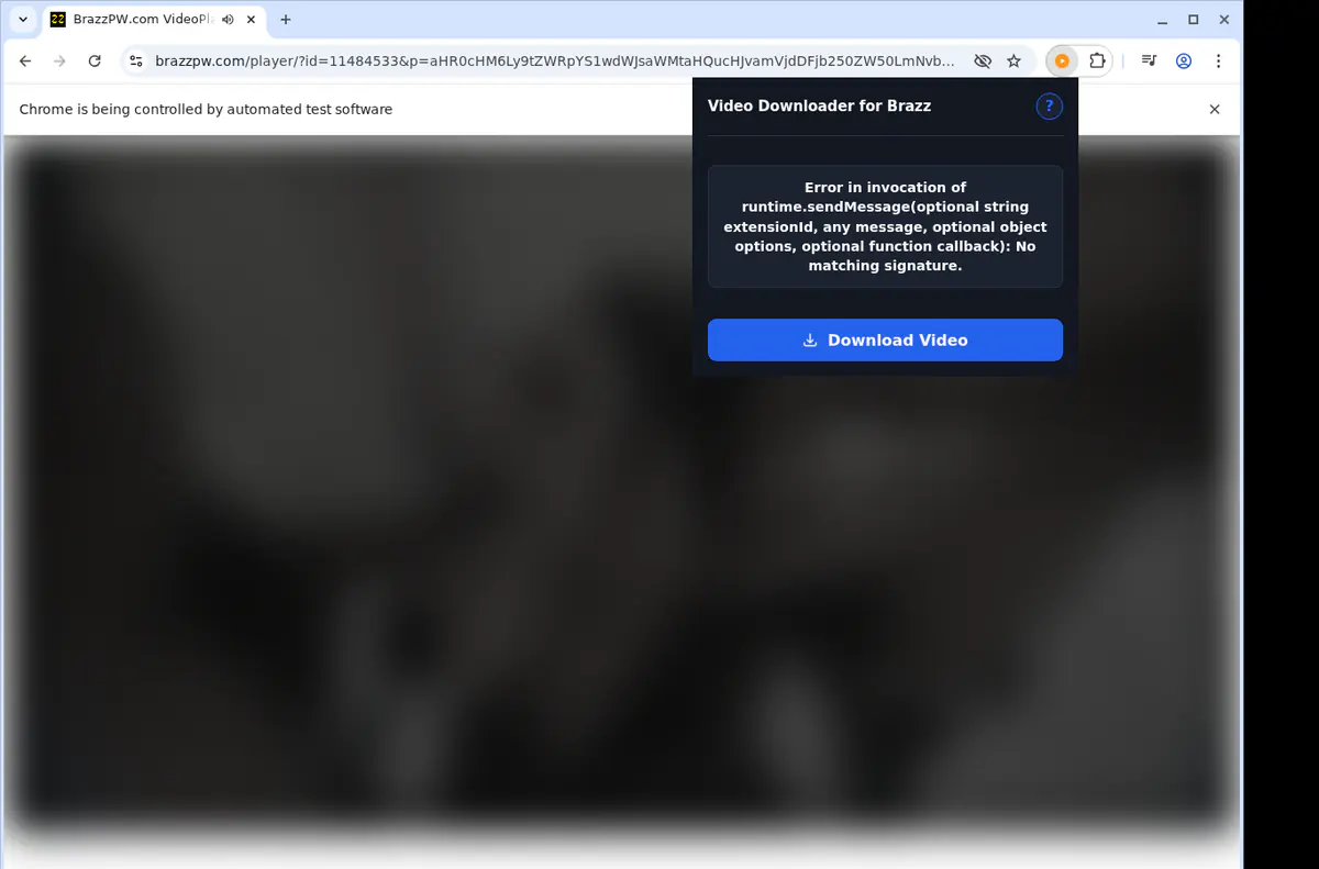 Brazz Video Downloader screenshot 2