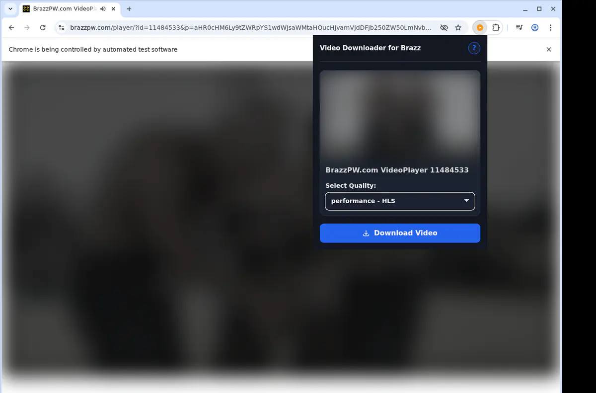 Brazz Video Downloader screenshot 3