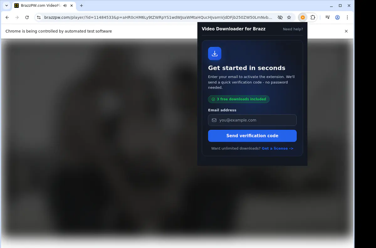 Brazz Video Downloader screenshot 4