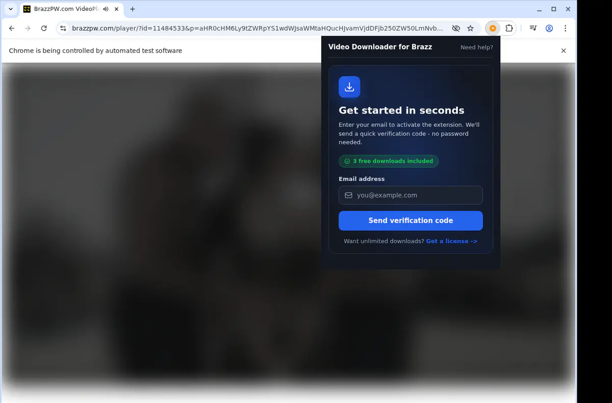 Brazz Video Downloader screenshot 5